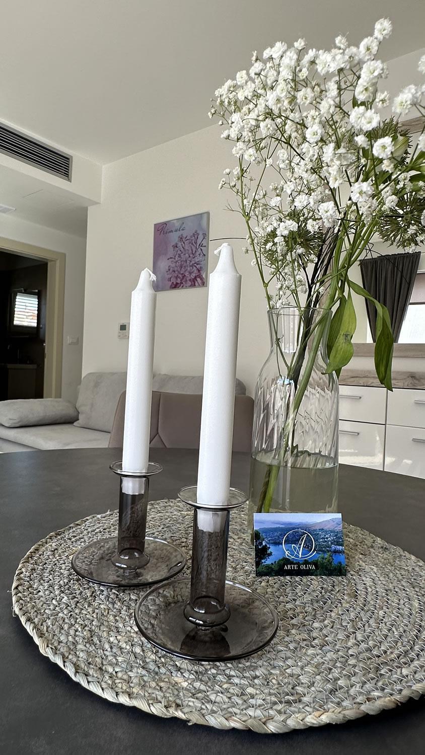 Arte Oliva Bed and Breakfast Grebaštica Exteriör bild