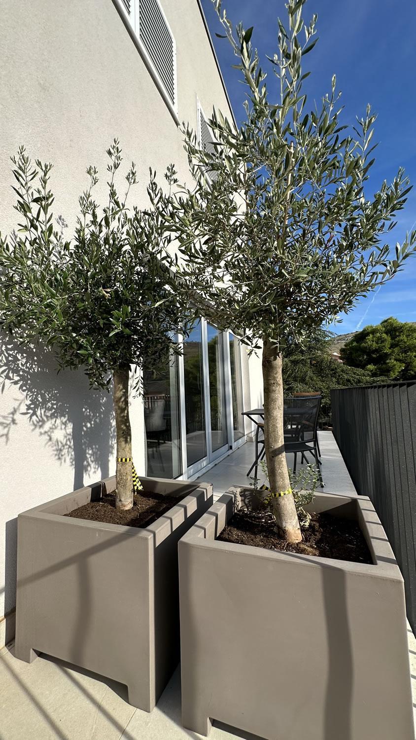 Arte Oliva Bed and Breakfast Grebaštica Exteriör bild